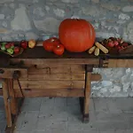 Tara Farmház