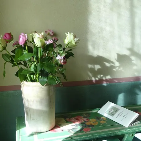 Feriegård Tara *